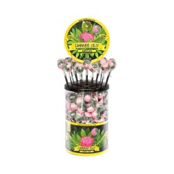Sucette cannabis bubblegum...