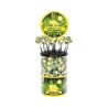 Sucette cannabis citron x 100 | MULTITRANCE