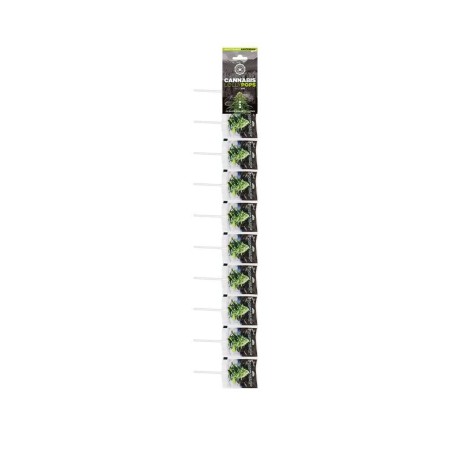 Sucette cannabis white widow x 10 | MULTITRANCE
