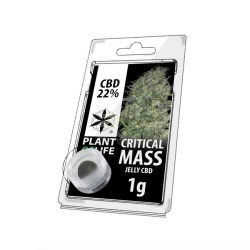 Résine CBD Critical Mass |...