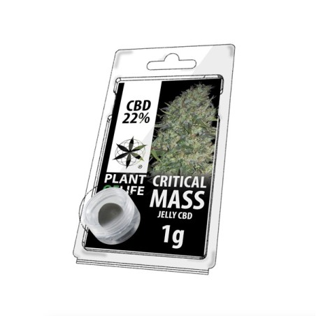 Résine CBD Critical Mass | PLANT OF LIFE