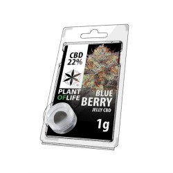 Résine CBD Blueberry |...