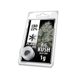 Résine CBD OG Kush | PLANT...