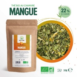 Thé au CBD bio mangue | POP...