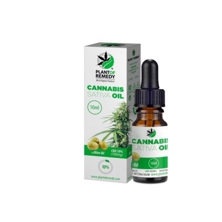 Huile CBD 10% olive | PLANT OF REMEDY