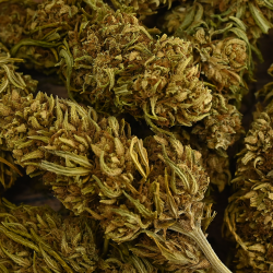 Fleur de CBG