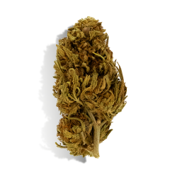 Fleur de CBG