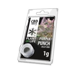 Résine CBD Purple Punch |...