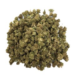 Fleur de CBD - SMALL BUD