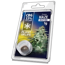 Résine CBG Lemon Haze |...