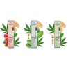 Vap Pen CBD full spectrum 70% | Greeneo (Menthe)