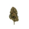 Fleur de CBD - ORANGE BUD | NAZA