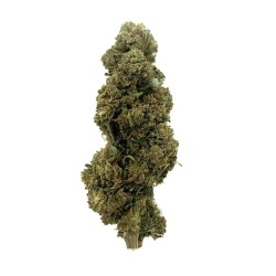 Fleur de CBD - AMNESIA | NAZA