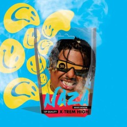 Fleur de CBD - WHITE WIDOW | NAZA