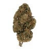 Fleur de CBD - ORANGE BUD