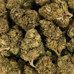 Fleur de CBD - HAWAÏENNE SKUNK