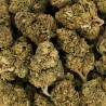 Fleur de CBD - HAWAÏENNE SKUNK