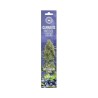 Bâtons d'encens Dry Cannabis Blueberry | Multitrance