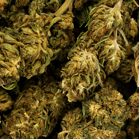 Fleur de CBD - NATURAL WEED ALSACE