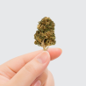 Fleur de CBD - NATURAL WEED ALSACE