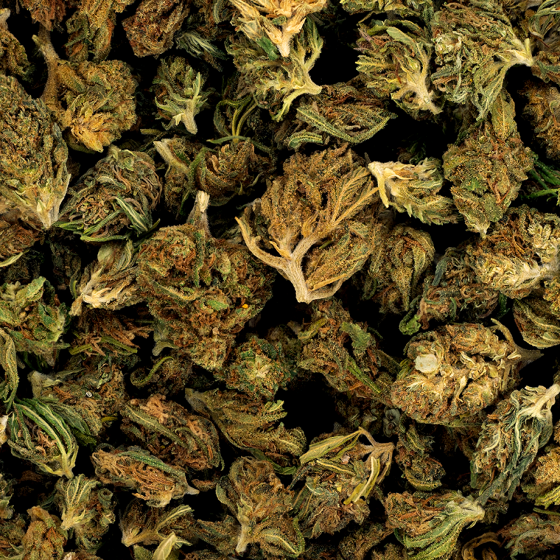 Fleur de CBD - LITTLE FRENCH ALSACE
