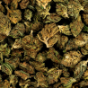 Fleur de CBD - LITTLE FRENCH ALSACE