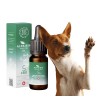 Huile CBD 5% broad spectrum chien | ALPAISIA