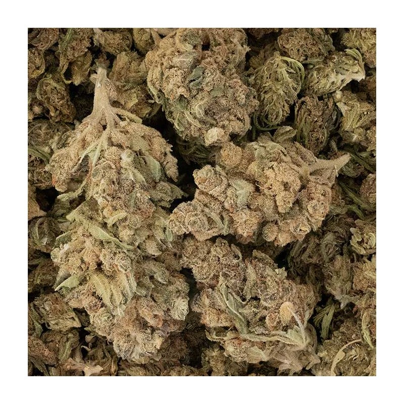 Fleur de CBD - WHITE WIDOW  * PROMO *