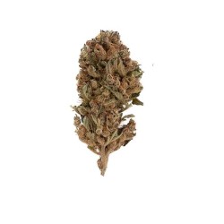 Fleur de CBD - WHITE WIDOW  * PROMO *