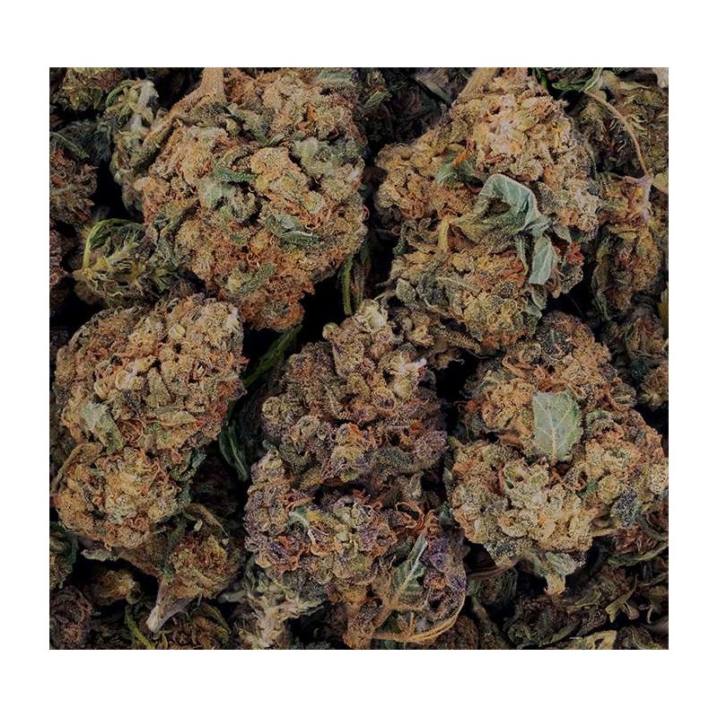 Fleur de CBD - OG KUSH * PROMO *