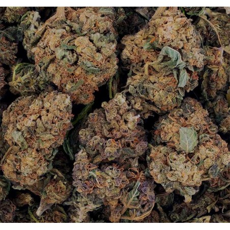 Fleur de CBD - OG KUSH * PROMO *