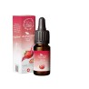 Huile CBD 20% broad spectrum fraise | ALPAISIA