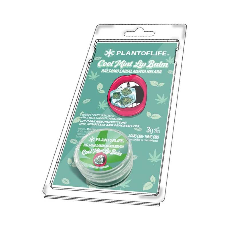 Baume lèvres CBD & CBG menthe | Plant of Life