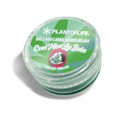 Baume lèvres CBD & CBG menthe | Plant of Life