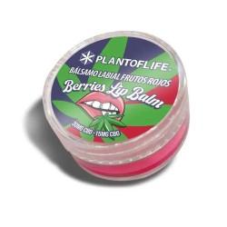 Baume lèvres CBD & CBG fruits rouges | Plant of Life