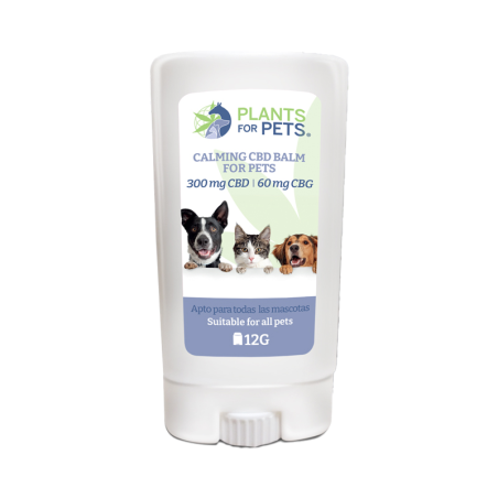 Baume CBD 300mg apaisant animaux | Plants for Pets