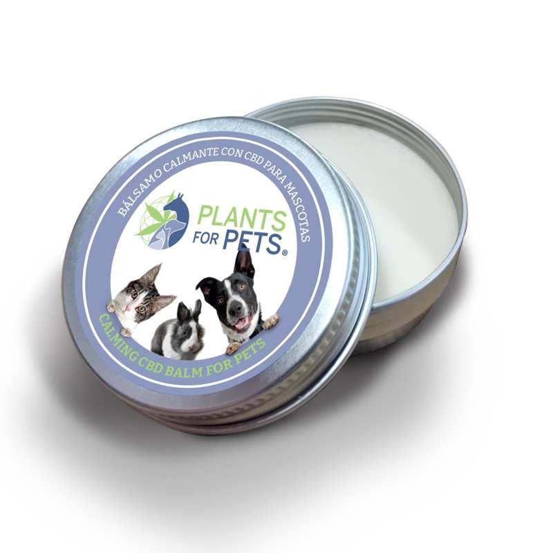 Baume CBD apaisant animaux | PLANTS FOR PETS