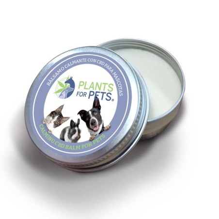 Baume CBD apaisant animaux | PLANTS FOR PETS