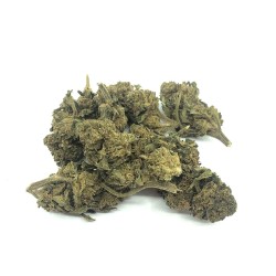 Fleur de CBD - STRAWBERRY BRETAGNE