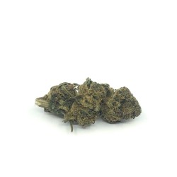Fleur de CBD - STRAWBERRY BRETAGNE