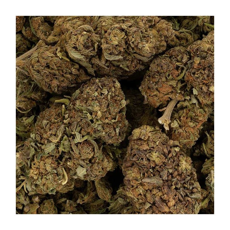 Fleur de CBD - PURPLE COOKIE
