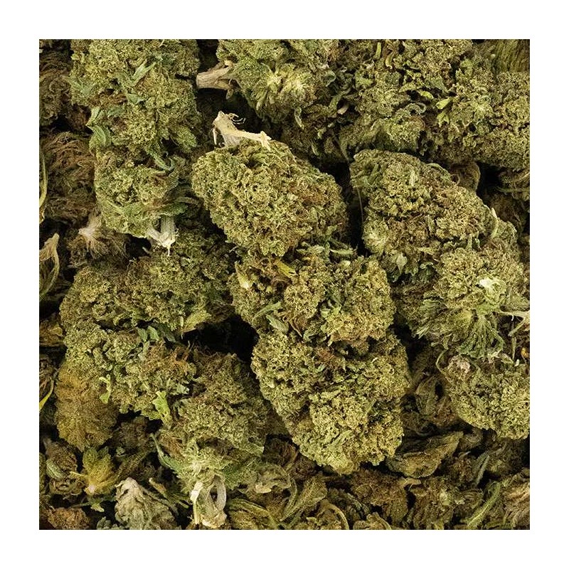 Fleur de CBD - SUPER LEMON HAZE