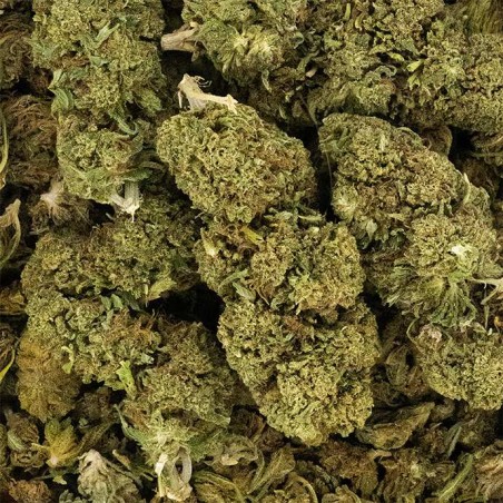 Fleur de CBD - SUPER LEMON HAZE