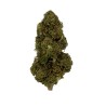 Fleur de CBD - SUPER LEMON HAZE