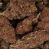Fleur de CBD - PINK FLAMINGO