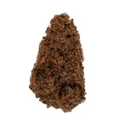 Fleur de CBD - PINK FLAMINGO