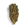Fleur de CBD - BANANA