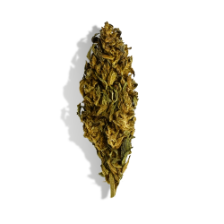 Fleur de CBD - FEDTONIC