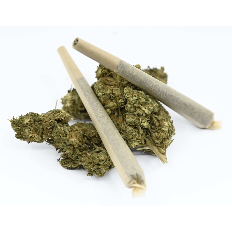 Infustick H4CBD AMNESIA