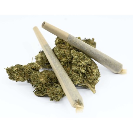 Infustick H4CBD AMNESIA